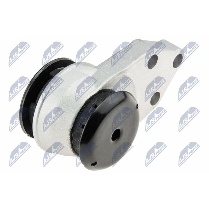 Variklio montavimas NTY ZPS-MZ-041