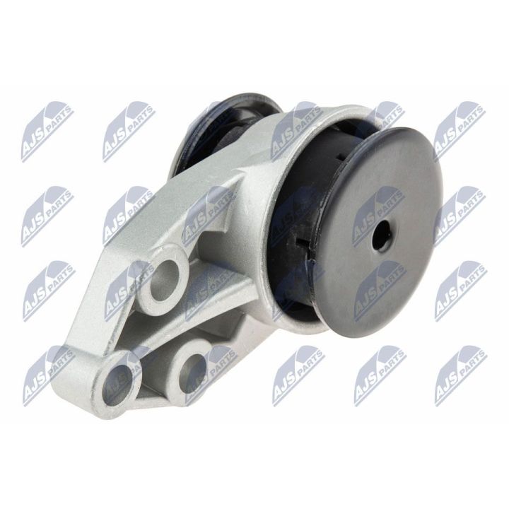 Variklio montavimas NTY ZPS-MZ-041