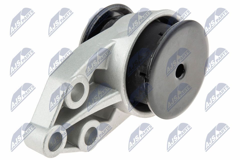 Variklio montavimas NTY ZPS-MZ-041