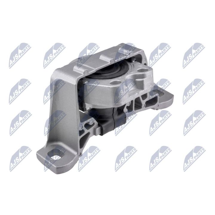 Variklio montavimas NTY ZPS-MZ-069