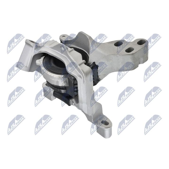 Variklio montavimas NTY ZPS-MZ-071