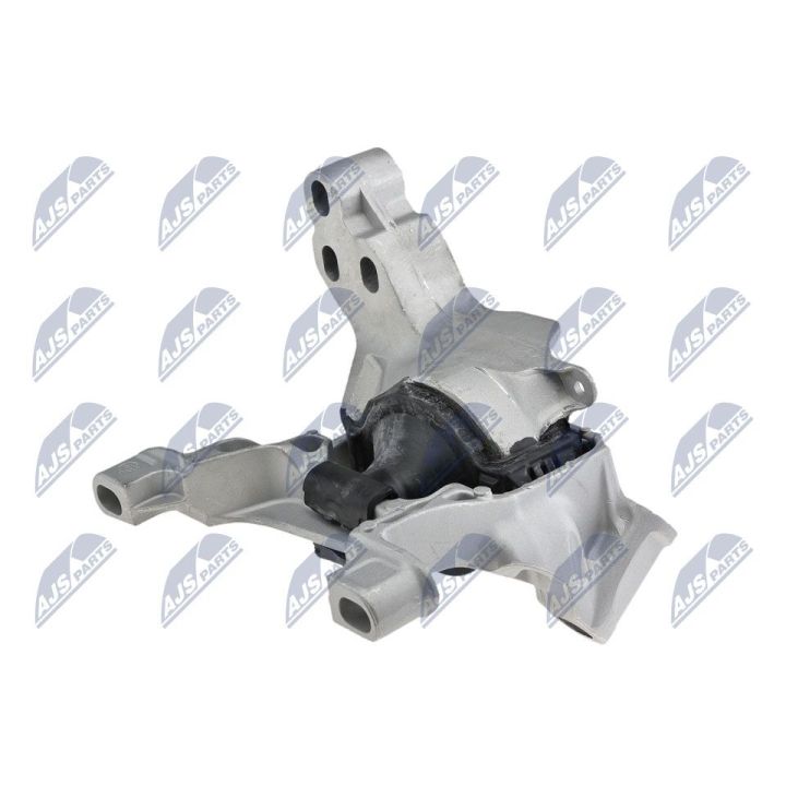 Variklio montavimas NTY ZPS-MZ-071