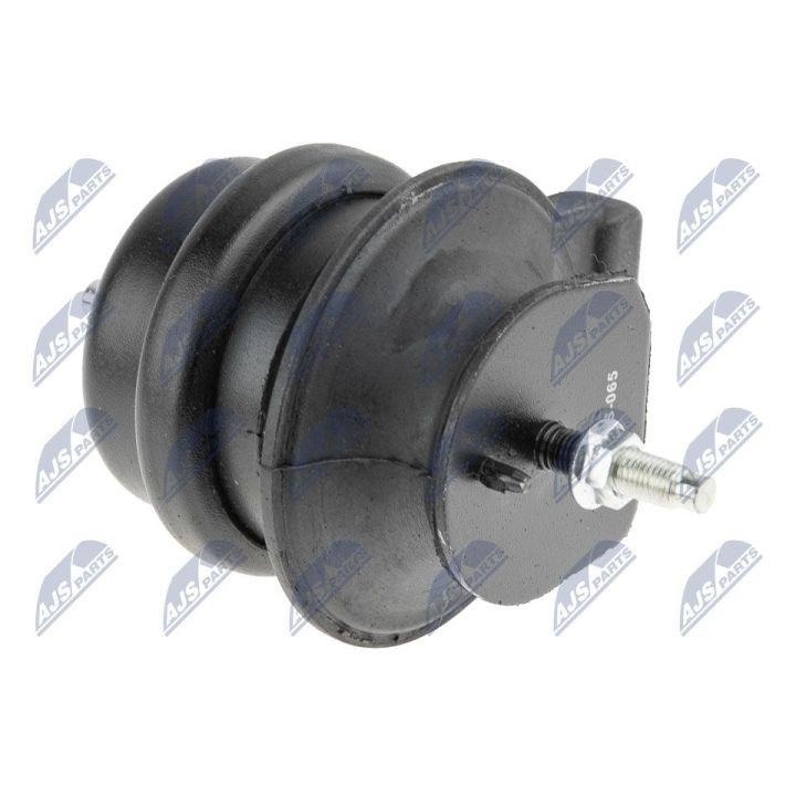 Variklio montavimas NTY ZPS-NS-065