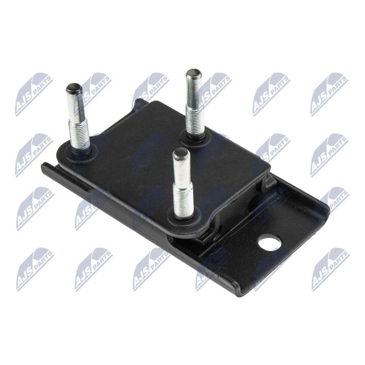 Variklio montavimas NTY ZPS-NS-076