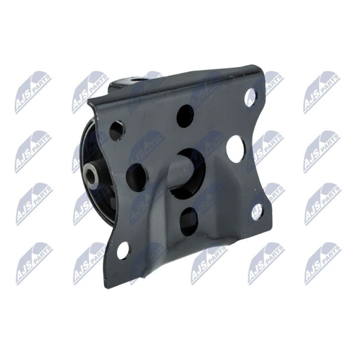 Variklio montavimas NTY ZPS-NS-118