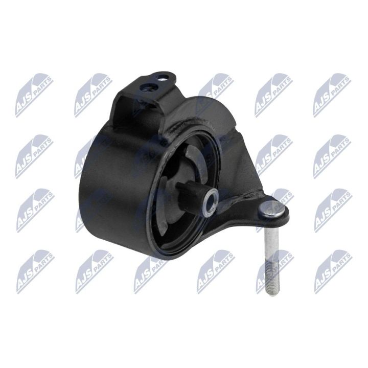 Variklio montavimas NTY ZPS-NS-120