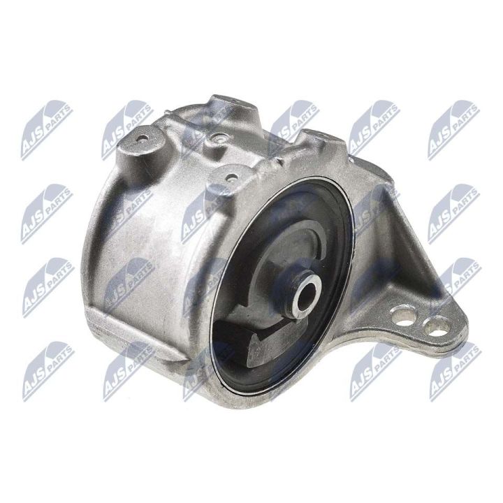 Variklio montavimas NTY ZPS-NS-140