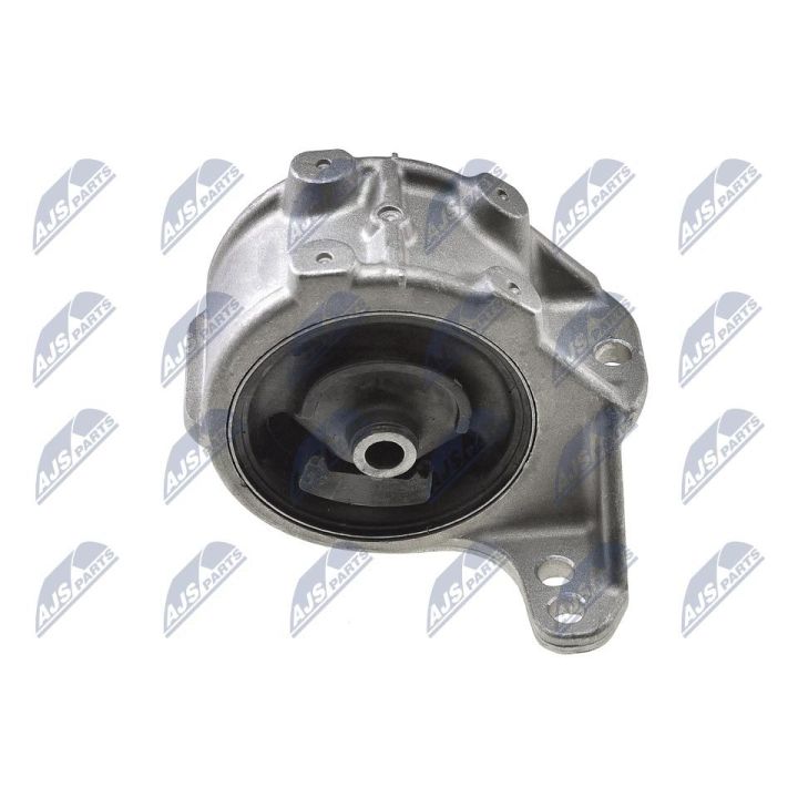 Variklio montavimas NTY ZPS-NS-140