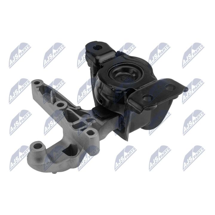 Variklio montavimas NTY ZPS-NS-180