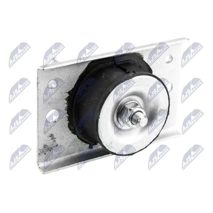 Variklio montavimas NTY ZPS-NS-185