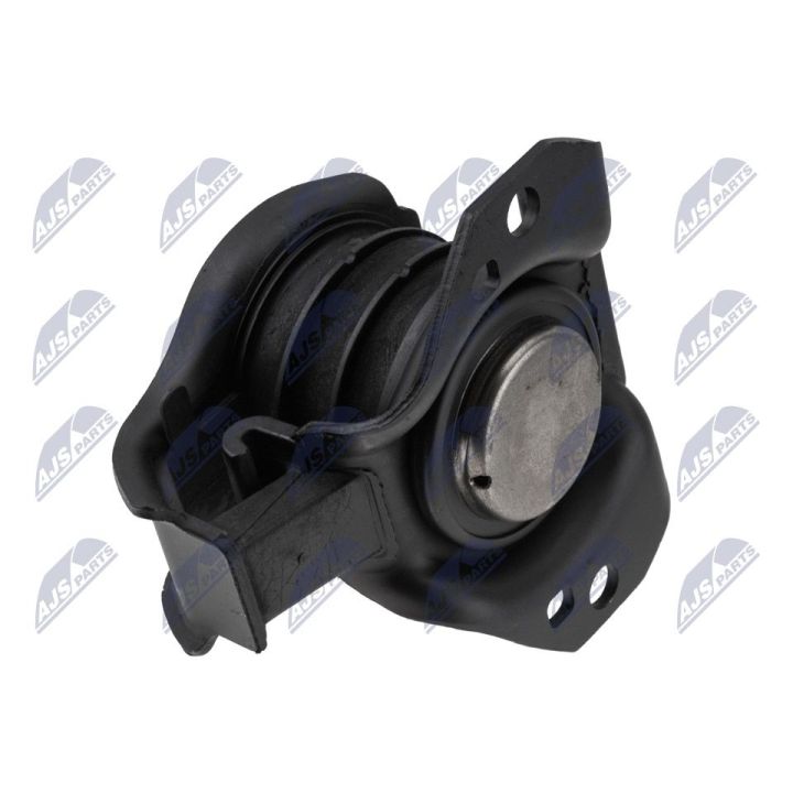 Variklio montavimas NTY ZPS-NS-195