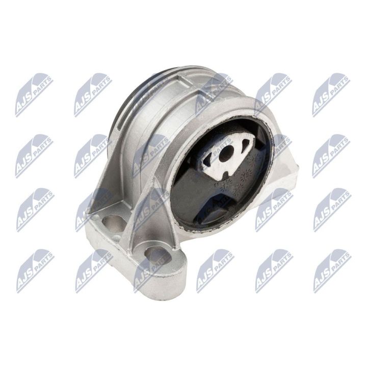 Variklio montavimas NTY ZPS-PE-017