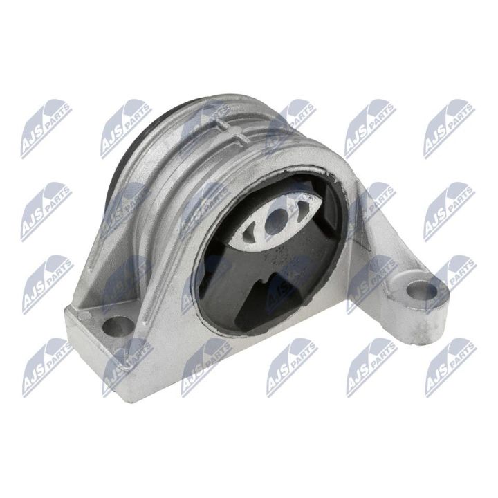 Variklio montavimas NTY ZPS-PE-018