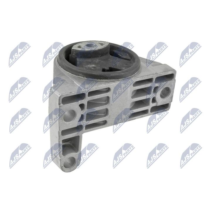 Variklio montavimas NTY ZPS-PE-018