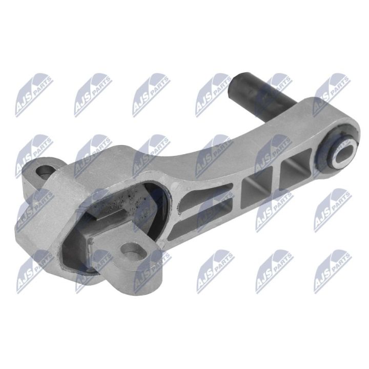 Variklio montavimas NTY ZPS-PE-030