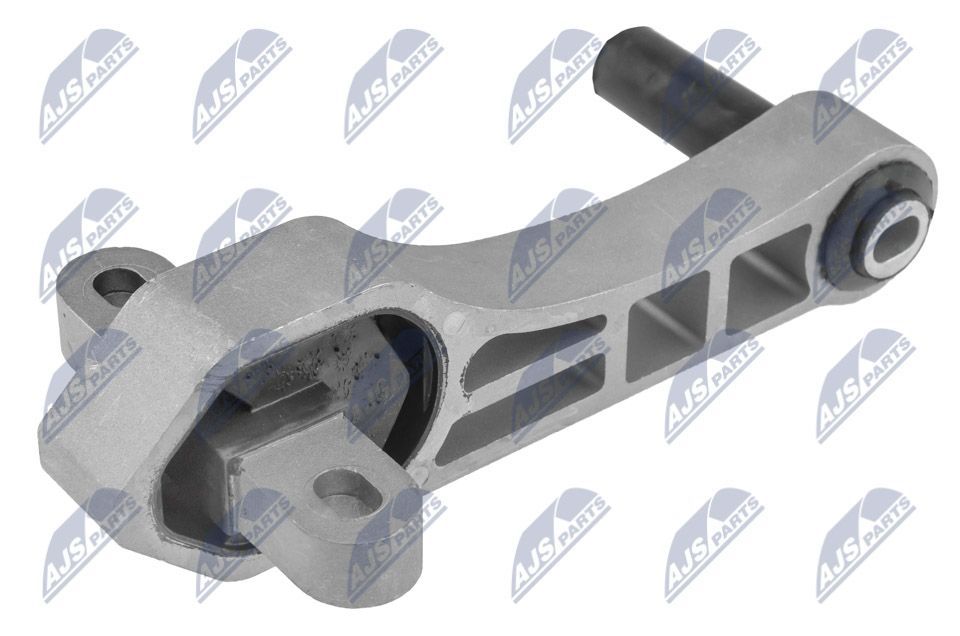 Variklio montavimas NTY ZPS-PE-030