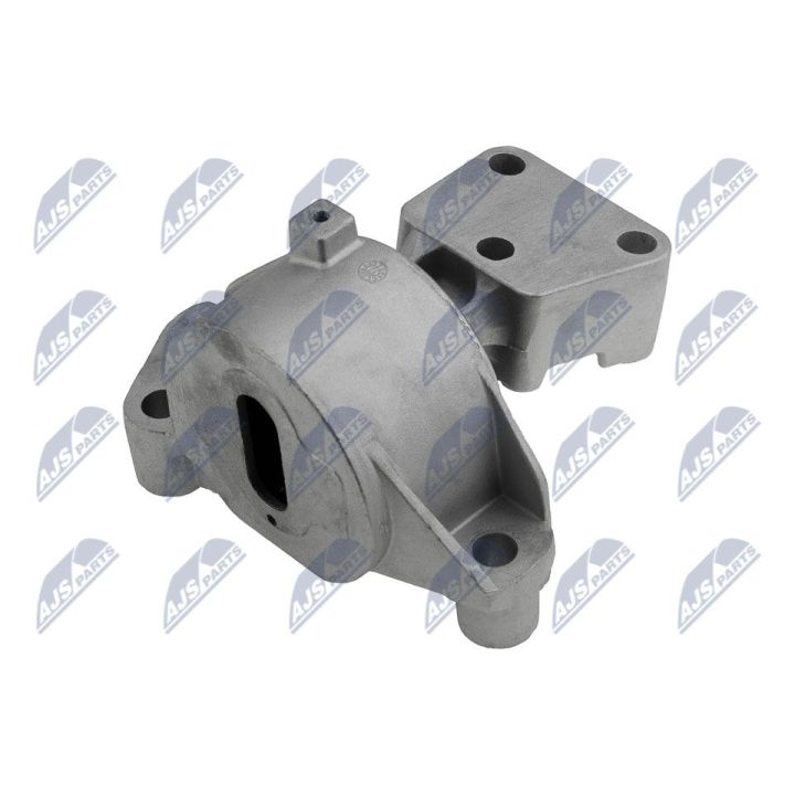 Variklio montavimas NTY ZPS-PE-031