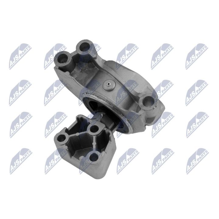 Variklio montavimas NTY ZPS-PE-031