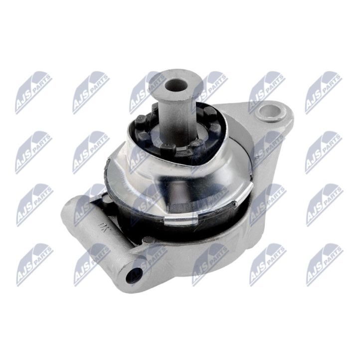 Variklio montavimas NTY ZPS-PL-027