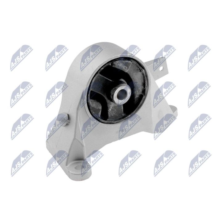 Variklio montavimas NTY ZPS-PL-039