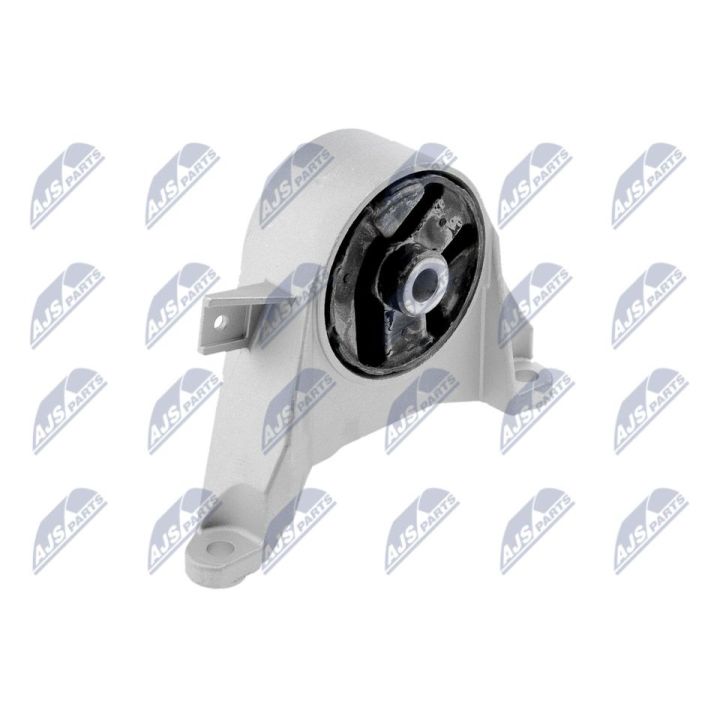 Variklio montavimas NTY ZPS-PL-039