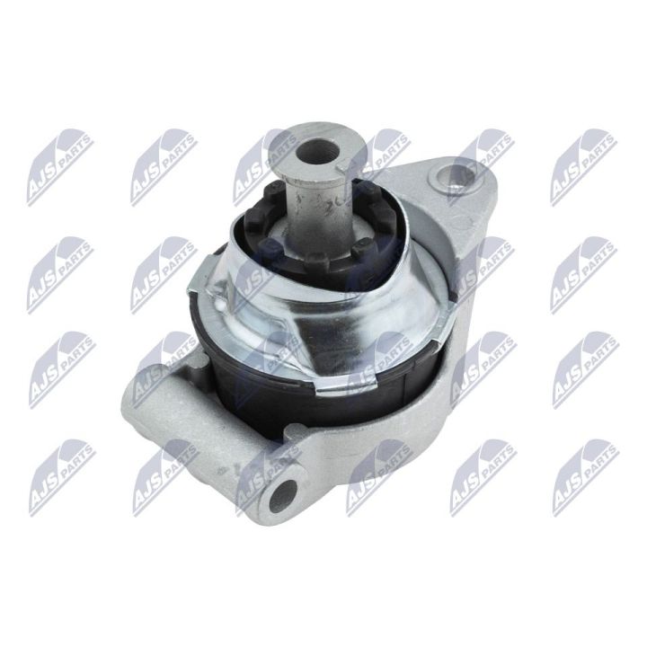 Variklio montavimas NTY ZPS-PL-059