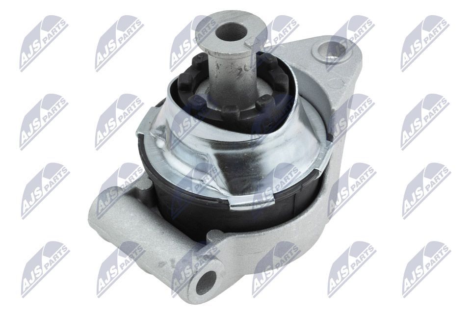 Variklio montavimas NTY ZPS-PL-059