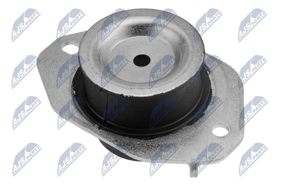 Variklio montavimas NTY ZPS-PL-067