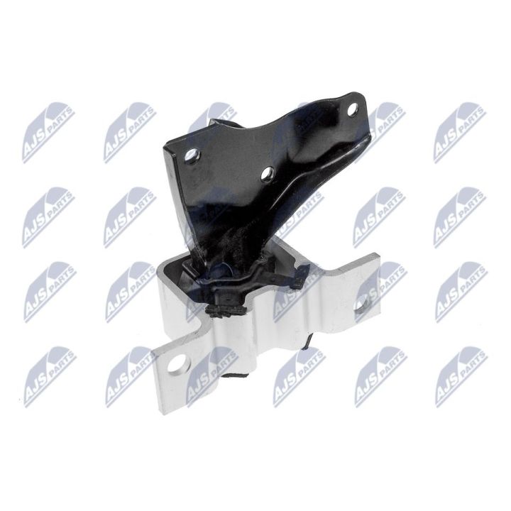 Variklio montavimas NTY ZPS-RE-004