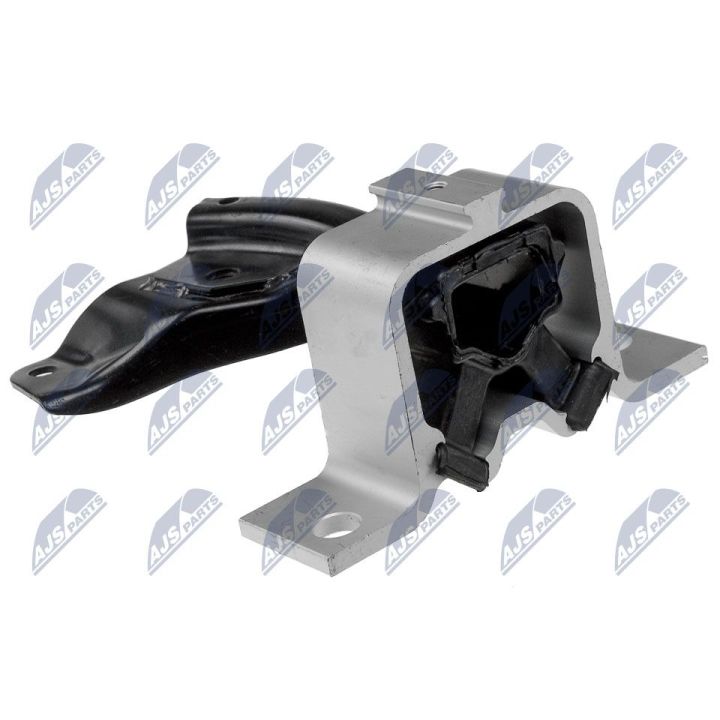 Variklio montavimas NTY ZPS-RE-004