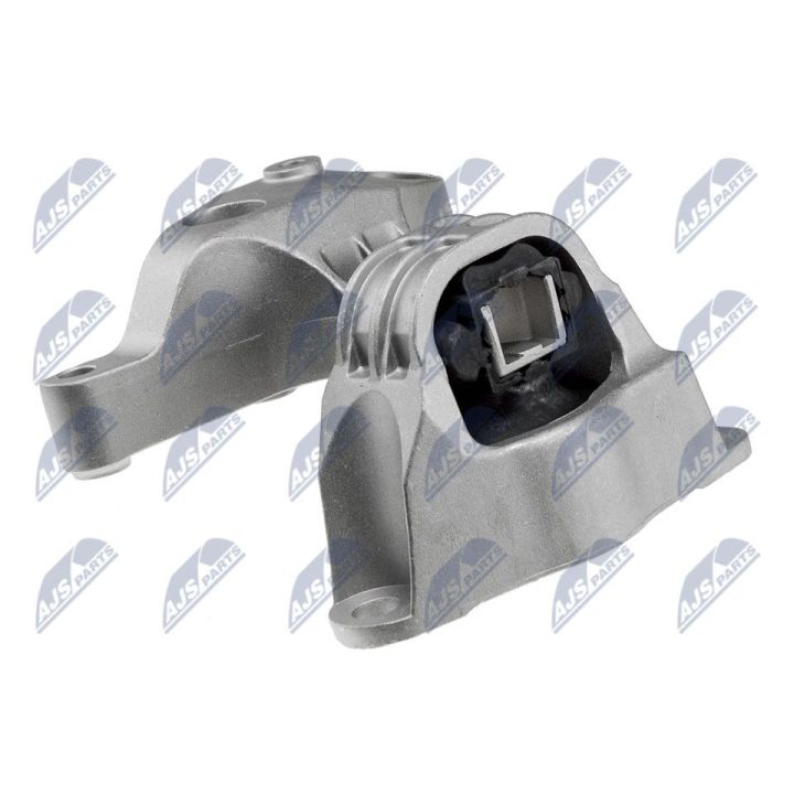 Variklio montavimas NTY ZPS-RE-007