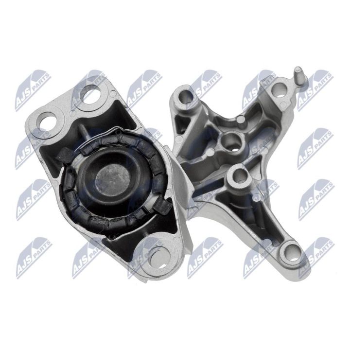 Variklio montavimas NTY ZPS-RE-007