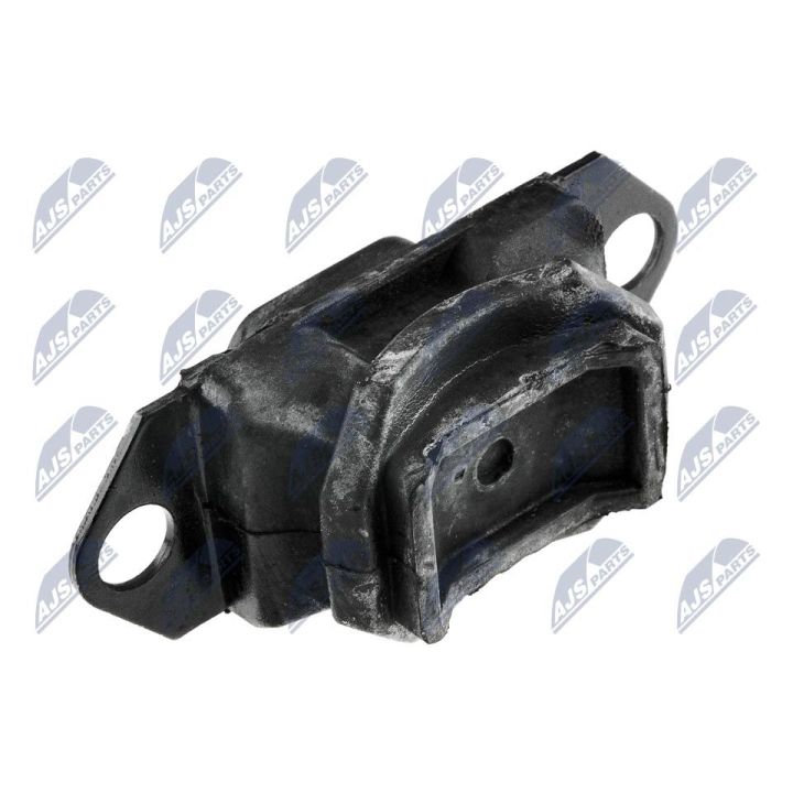 Variklio montavimas NTY ZPS-RE-013