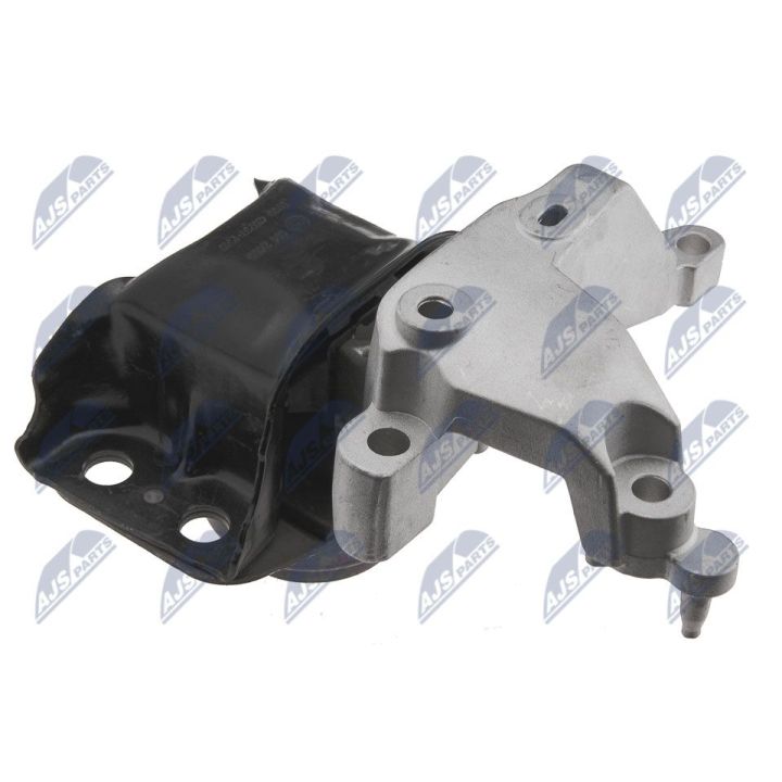 Variklio montavimas NTY ZPS-RE-014