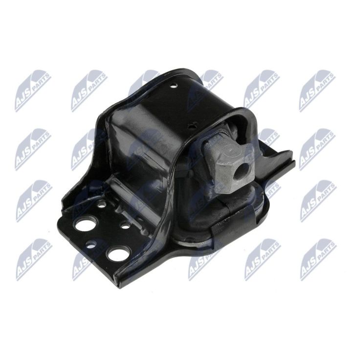 Variklio montavimas NTY ZPS-RE-017