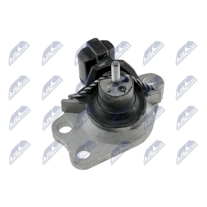 Variklio montavimas NTY ZPS-RE-018