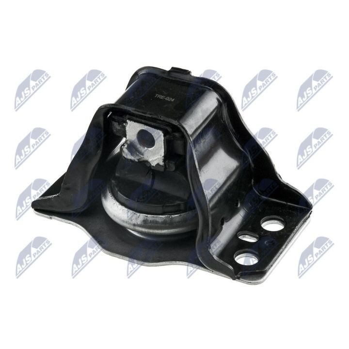 Variklio montavimas NTY ZPS-RE-024