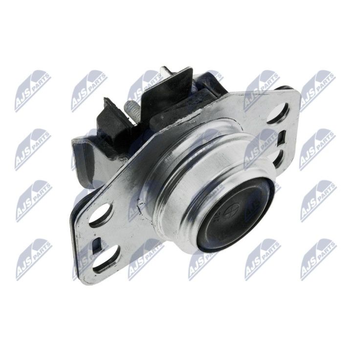 Variklio montavimas NTY ZPS-RE-025