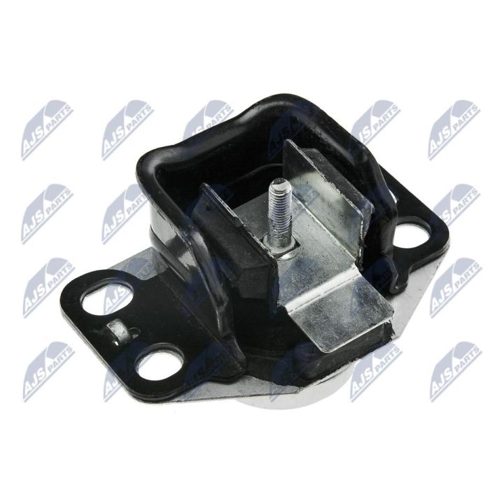 Variklio montavimas NTY ZPS-RE-025