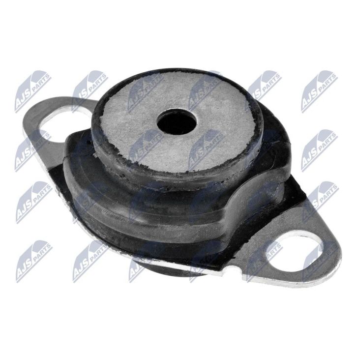 Variklio montavimas NTY ZPS-RE-034