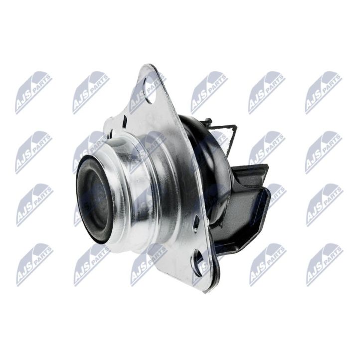 Variklio montavimas NTY ZPS-RE-038