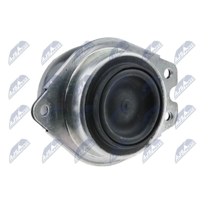 Variklio montavimas NTY ZPS-RE-046