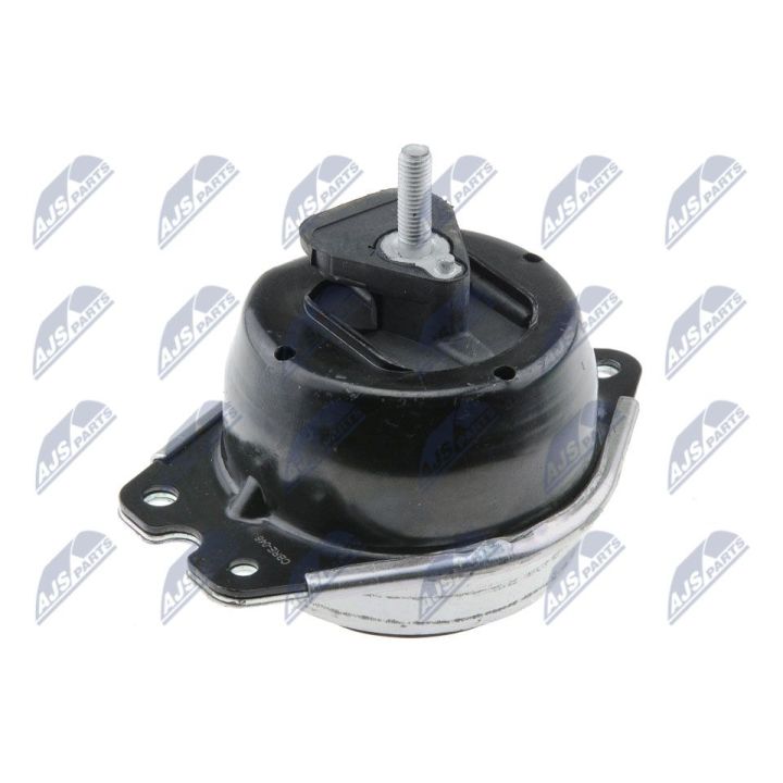 Variklio montavimas NTY ZPS-RE-046