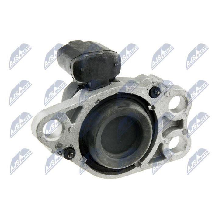 Variklio montavimas NTY ZPS-RE-051