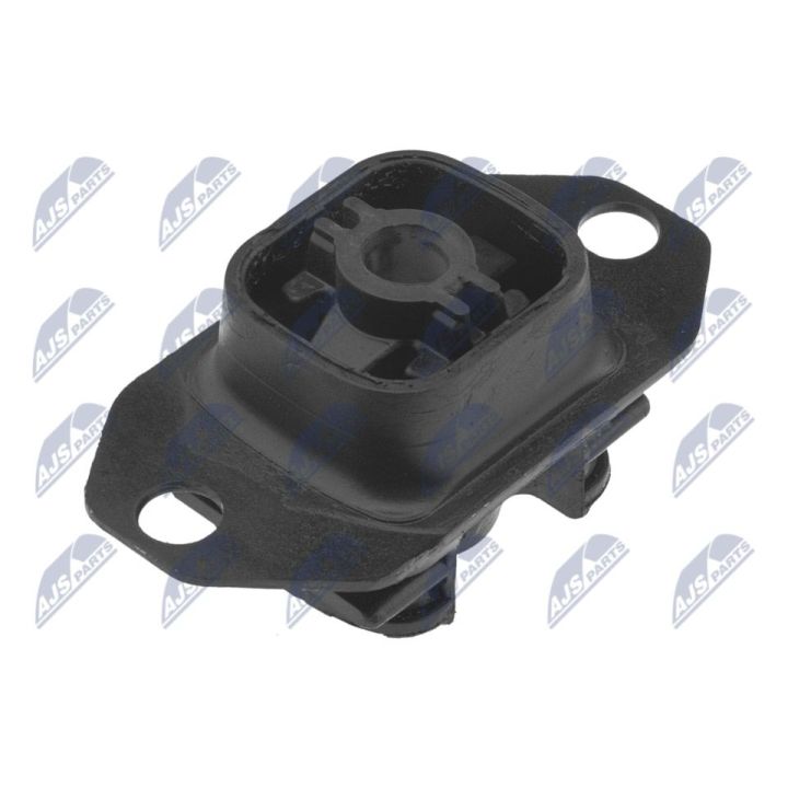 Variklio montavimas NTY ZPS-RE-056