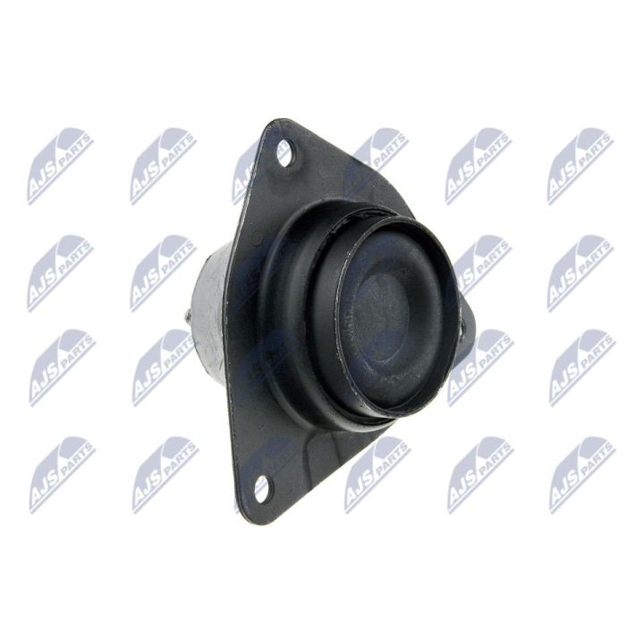 Variklio montavimas NTY ZPS-RE-059