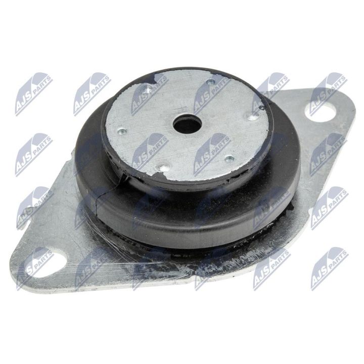 Variklio montavimas NTY ZPS-RE-061