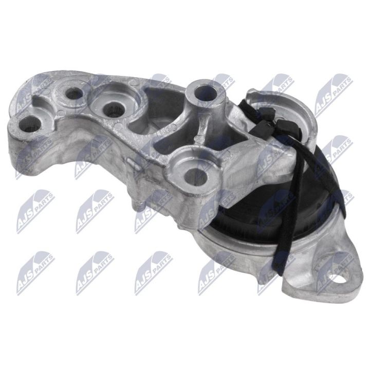 Variklio montavimas NTY ZPS-RE-077