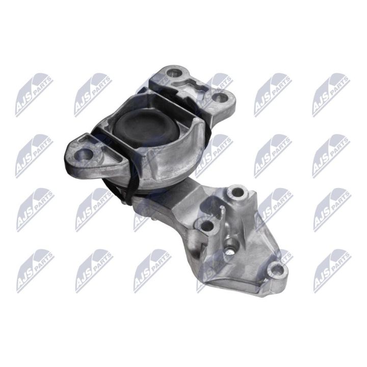 Variklio montavimas NTY ZPS-RE-080