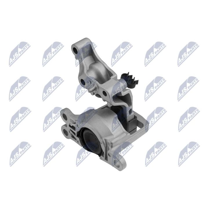 Variklio montavimas NTY ZPS-RE-120